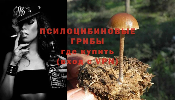 бутират Алексин