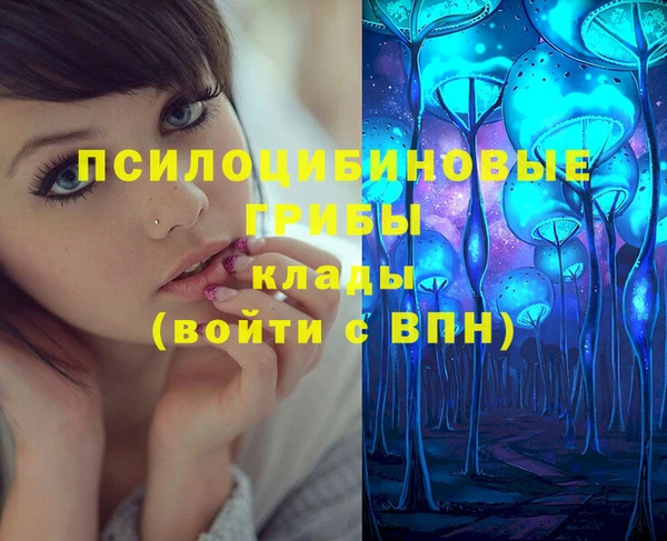 бутират Алексин