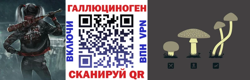 купить наркотик  Большой Камень  Галлюциногенные грибы Psilocybe 